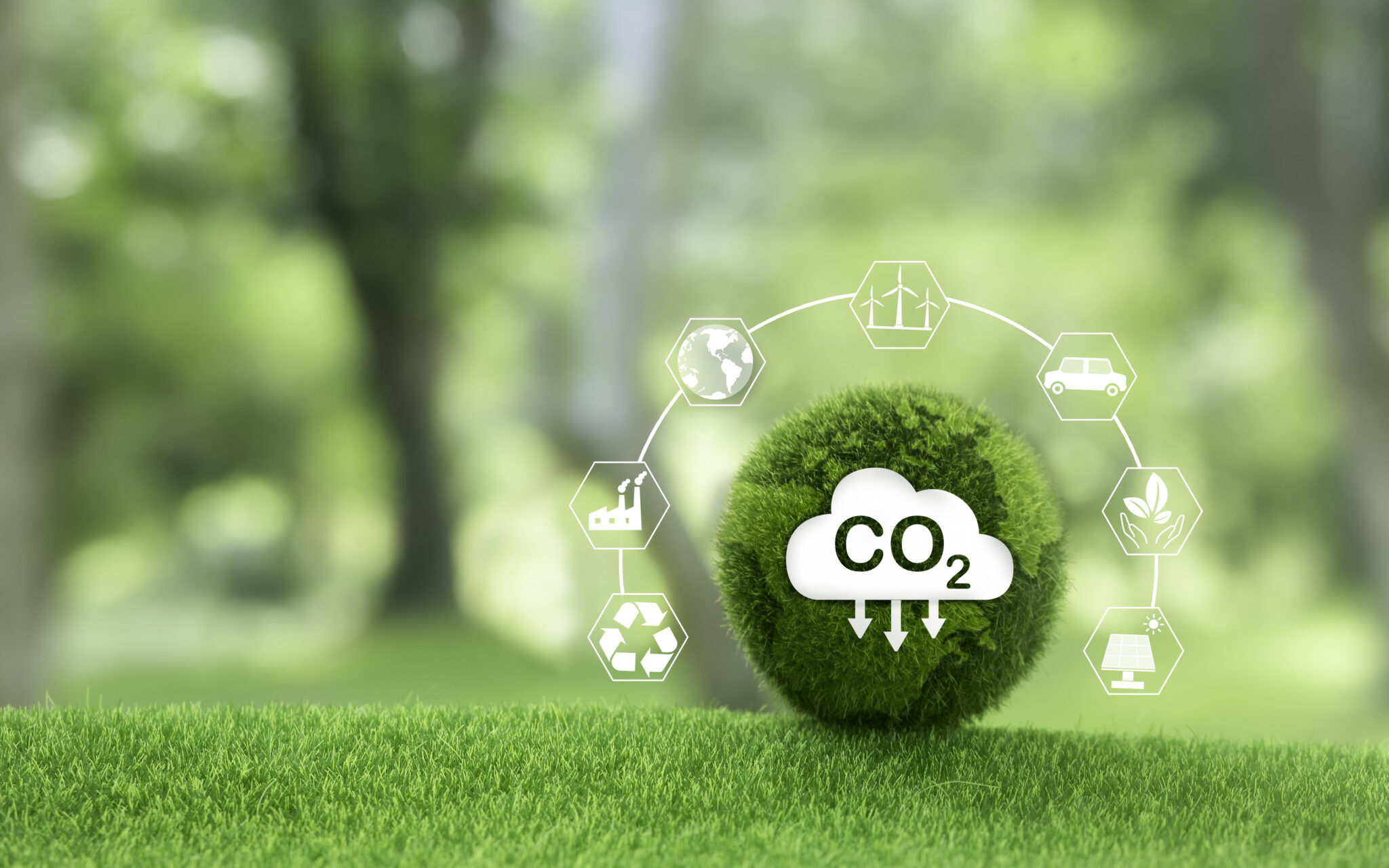 Une boule de mousse verte avec un symbole CO2 entourée d'icônes écologiques sur un fond flou de nature.